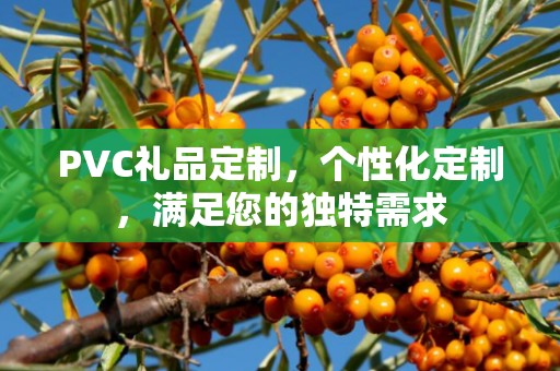 PVC礼品定制，个性化定制，满足您的独特需求