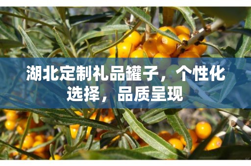 湖北定制礼品罐子，个性化选择，品质呈现